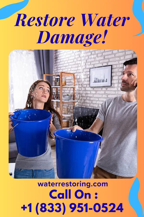 water restoration National Water Cleanup Experts Fredonia
