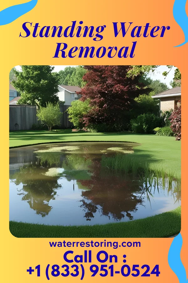 Standing Water Removal in Fredonia, KY